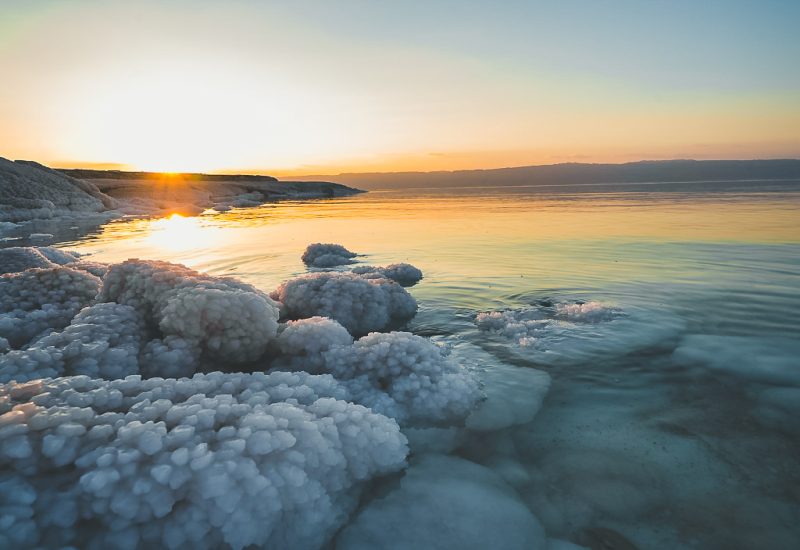 Diseño sin título - 10