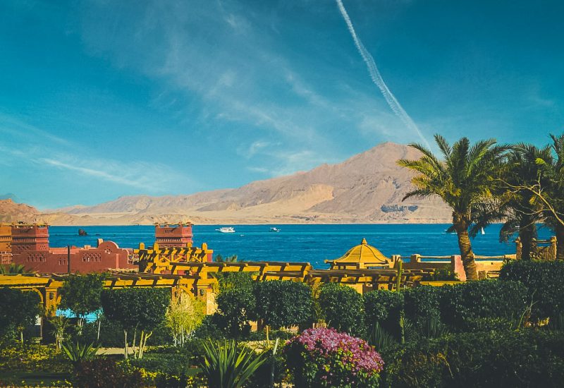 Diseño sin título - 7