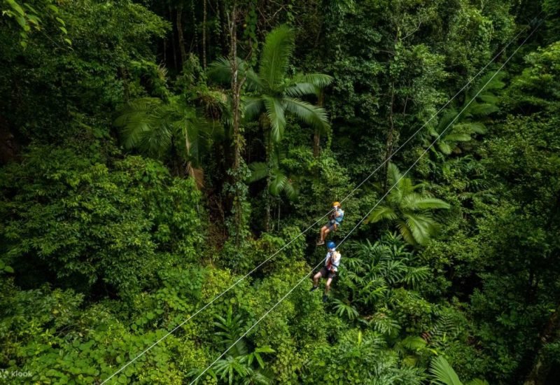 TourentirolesaporlaselvatropicaldeDaintreeenCapeTribulation